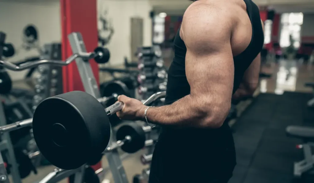 muscle growth over 40