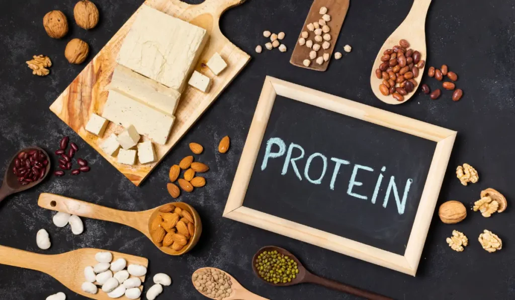 Whey Protein vs Plant Protein: 5 Key Differences Before You Choose